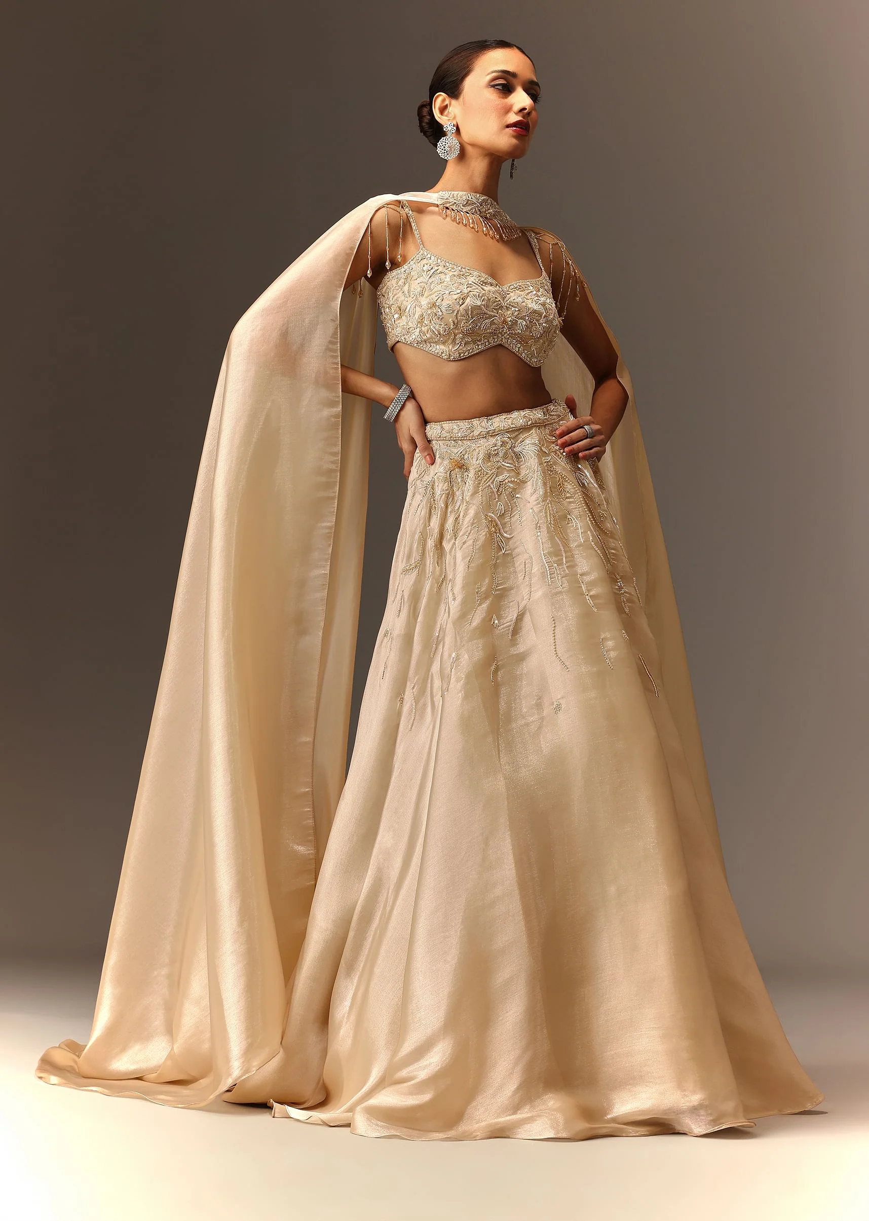 Beige Embroidered Blouse With Skirt And Choker Dupatta - Image 3