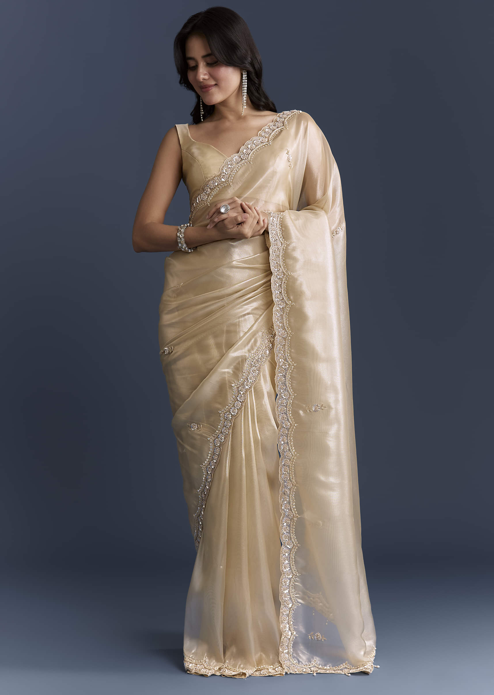 Beige Net Saree With Heavy Hand Embroidery - Image 3