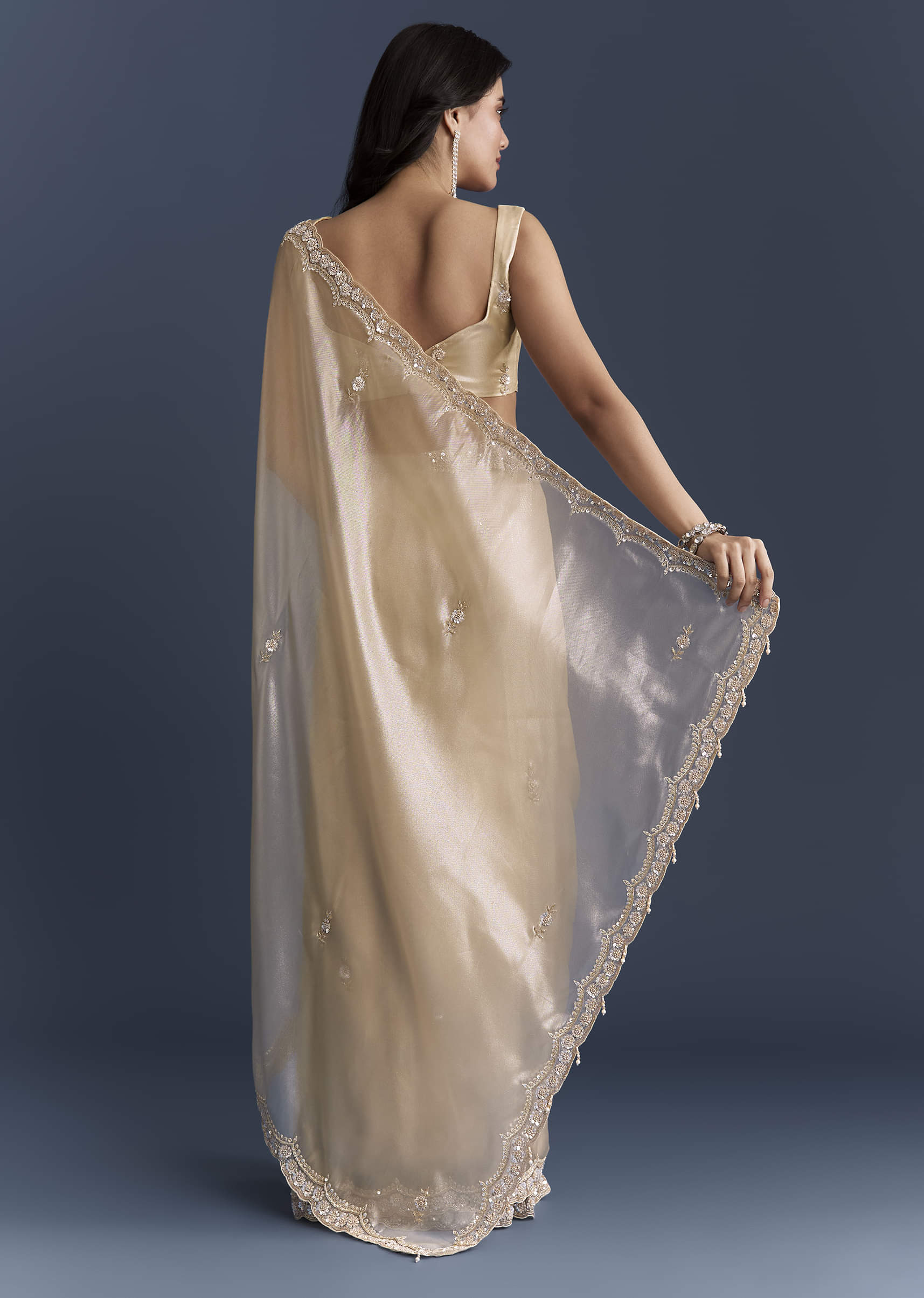 Beige Net Saree With Heavy Hand Embroidery - Image 4