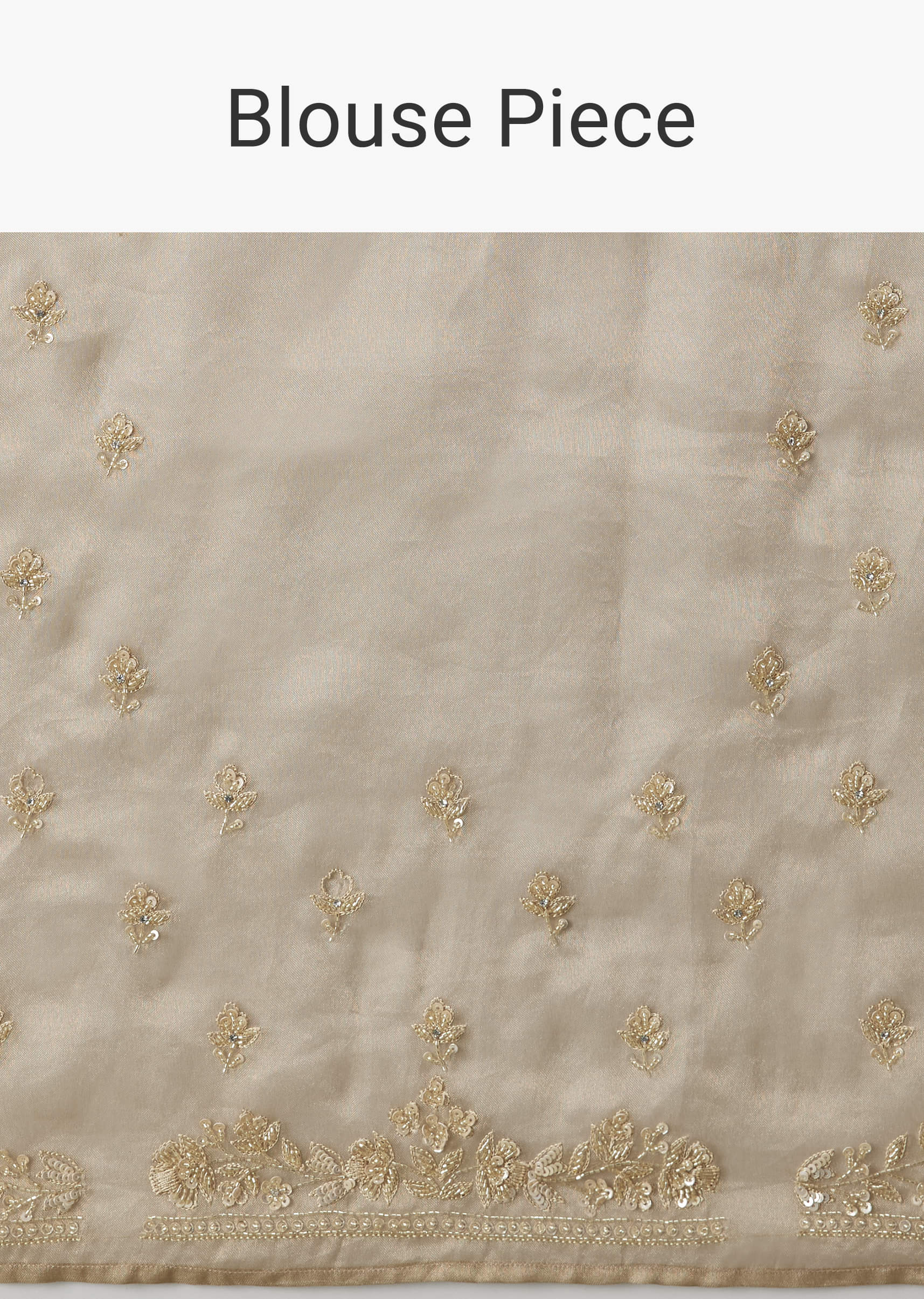 Beige Tissue Saree With Embroidered Brocade Blouse - Image 10