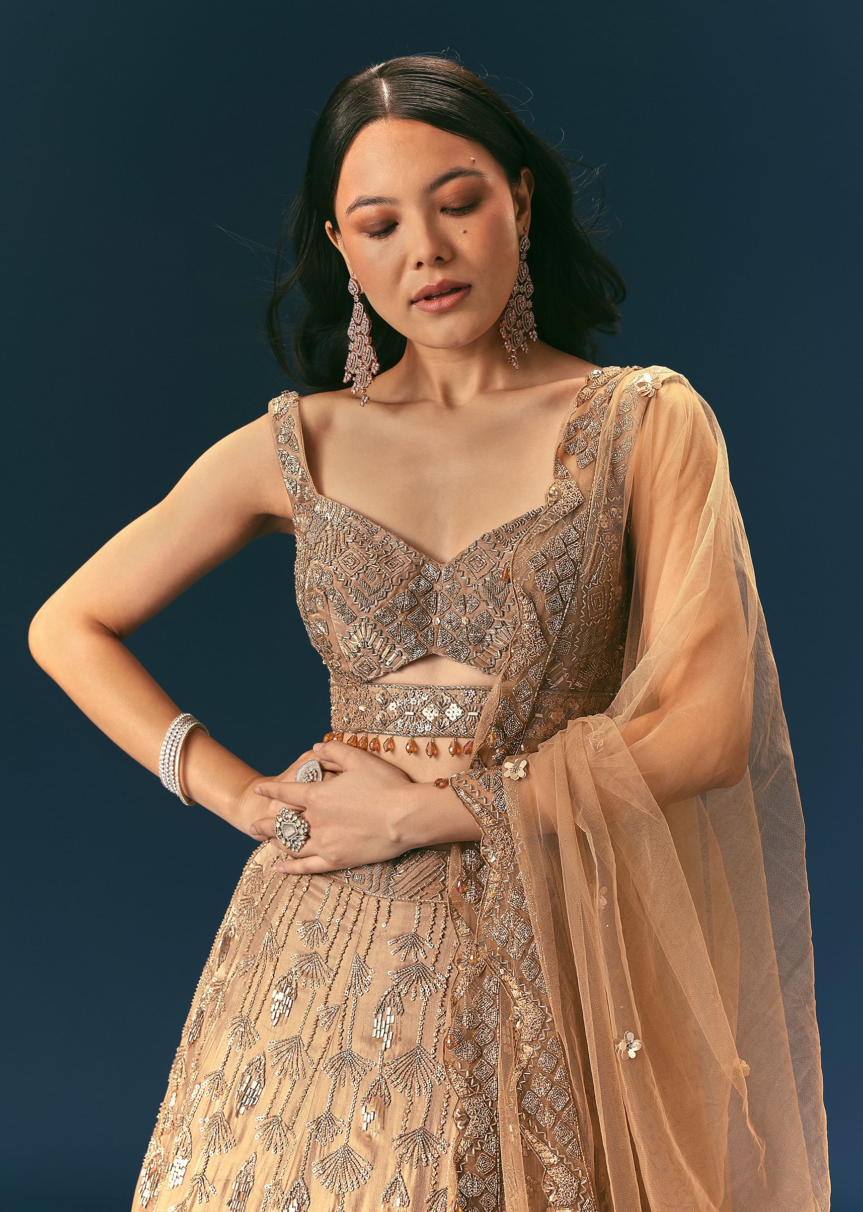 Bronze Organza Lehenga Set With Hand Work - Image 4