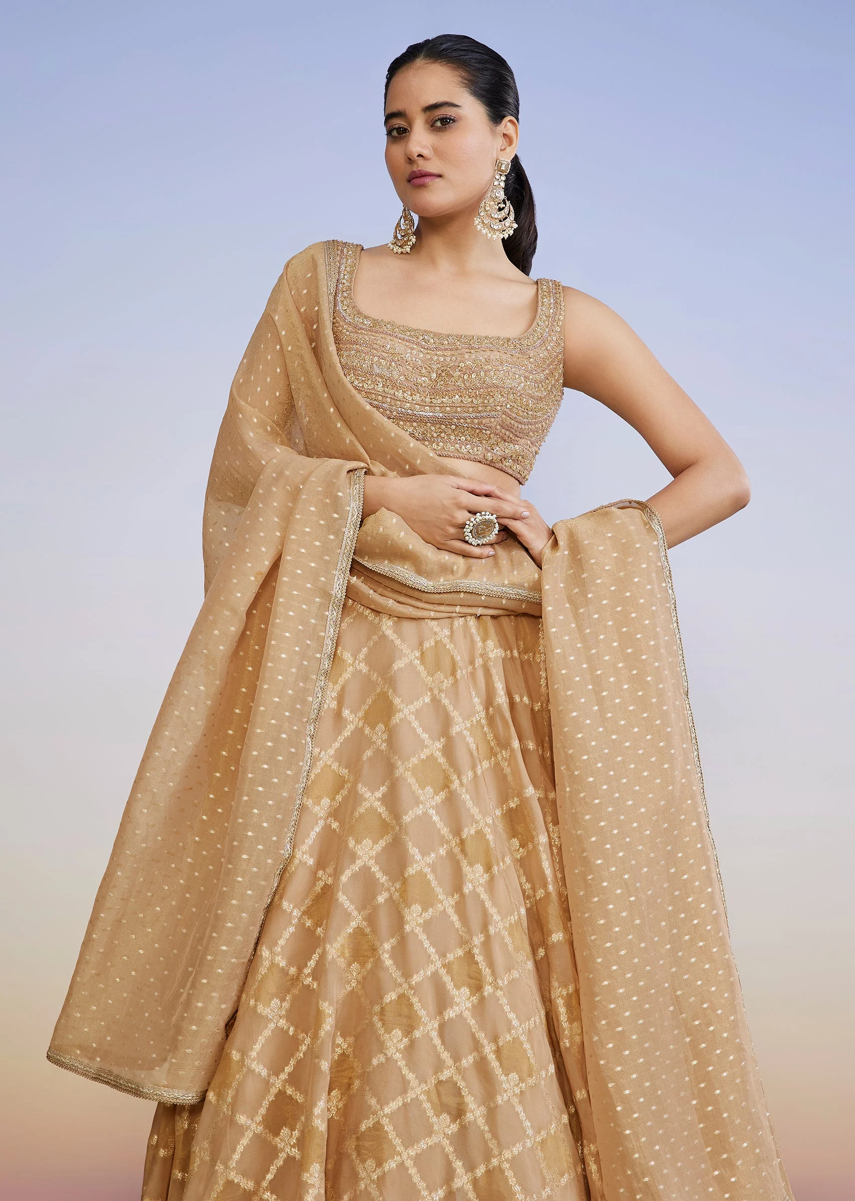 Classic Gold Organza Lehenga - Image 5