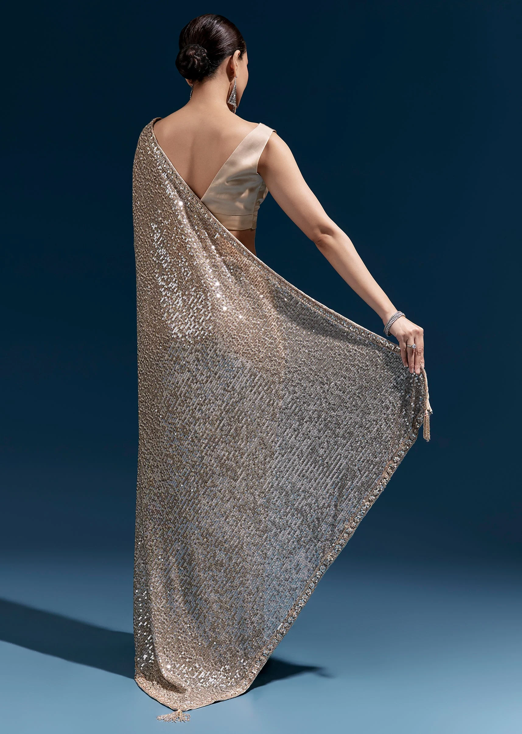 Coffee Brown Net Sequin Saree With Linear All Over Work And Hand Embroidered Floral Border - Image 4