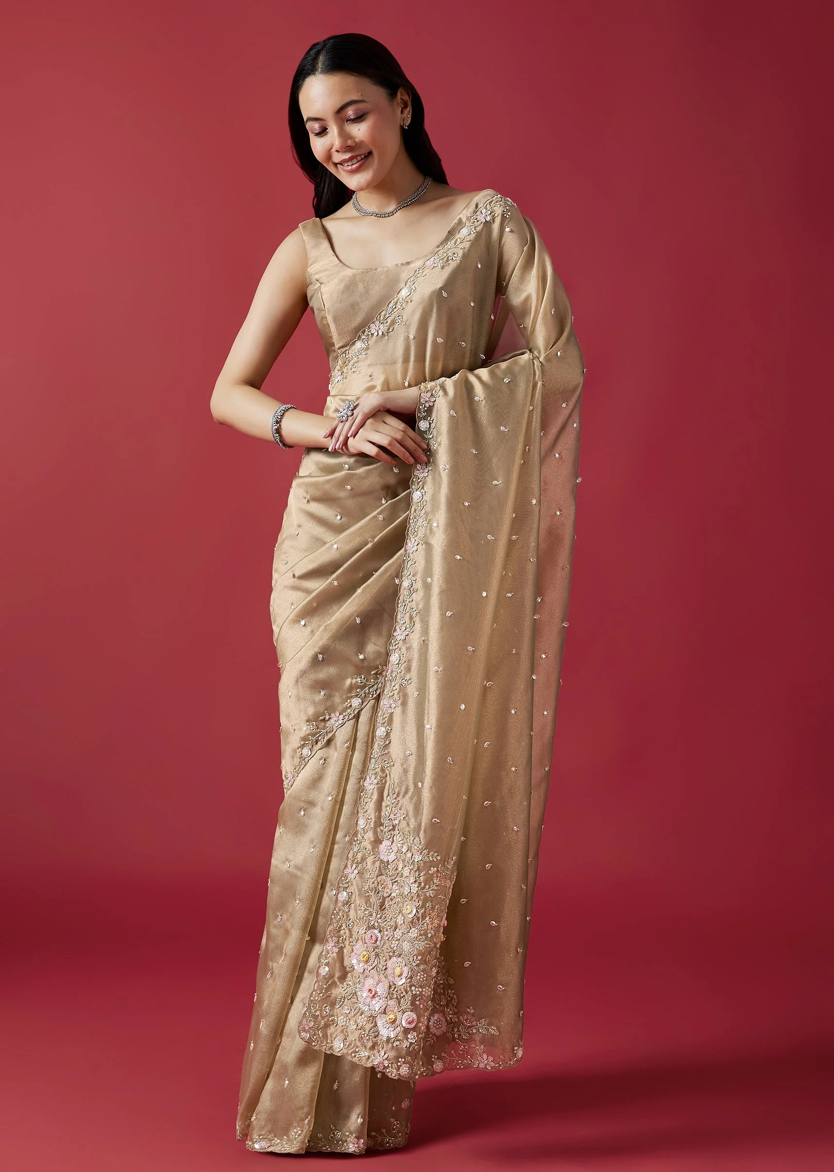 Dusky Beige Embroidered Tissue Saree With Cutwork Border - Image 3