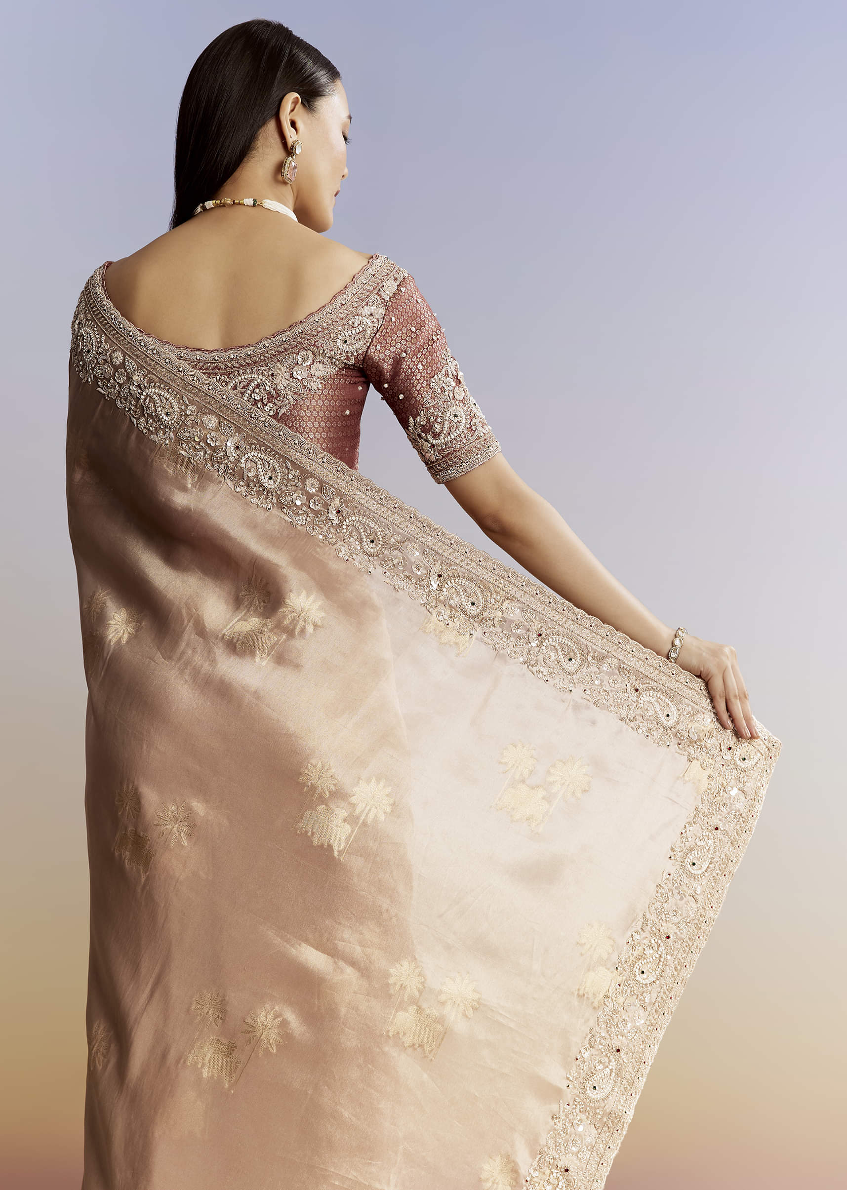 Gold Tissue Saree With Heavy Embroidered Border And Blouse - Image 4