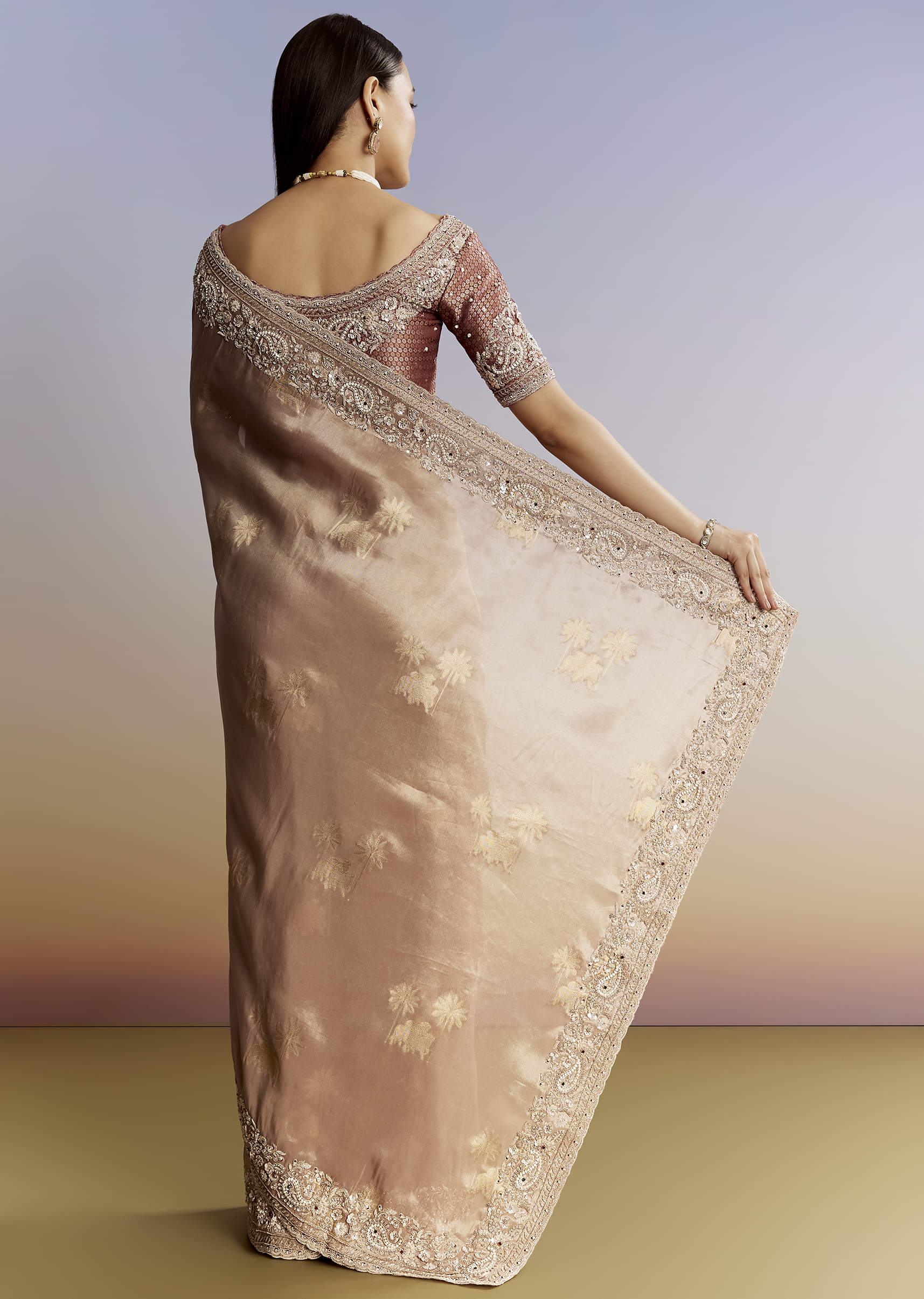 Gold Tissue Saree With Heavy Embroidered Border And Blouse - Image 6