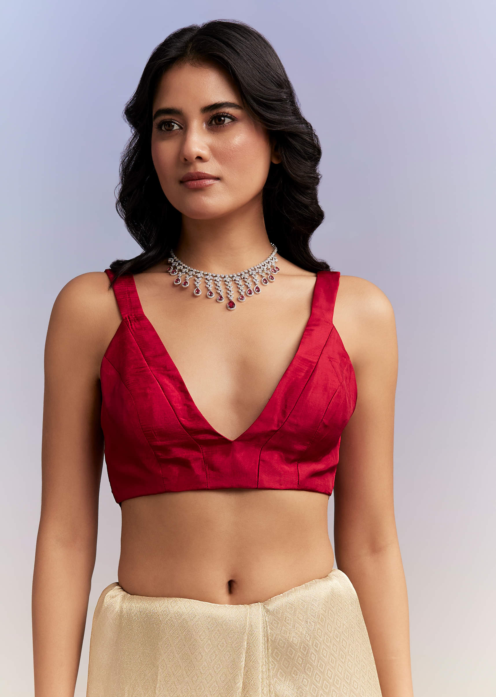 Gold Tissue Saree With Heavy Hand Embroidery - Image 7