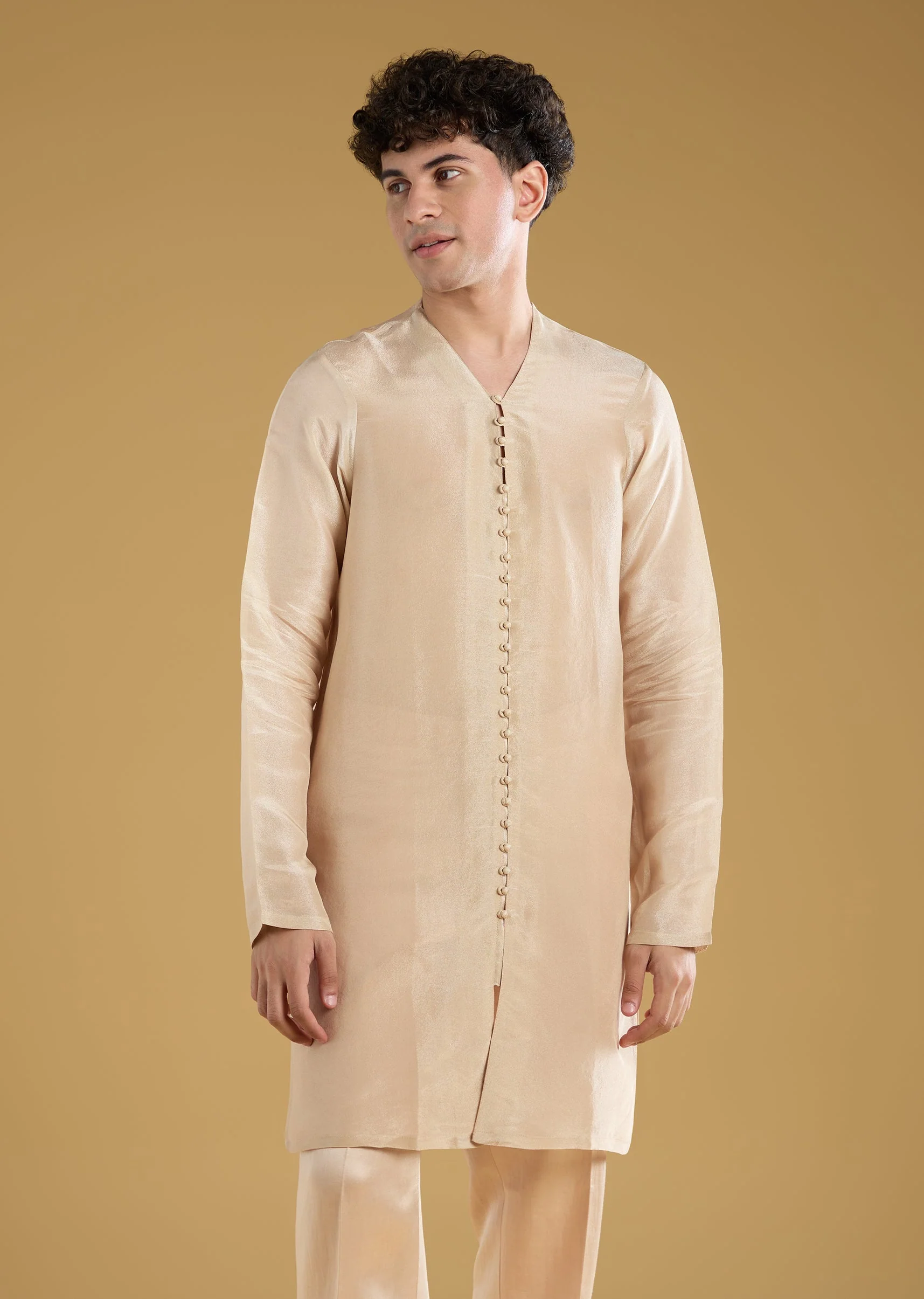 Gold Tissue Sherwani With Zari Cut Dana And Sequins Work - Image 6