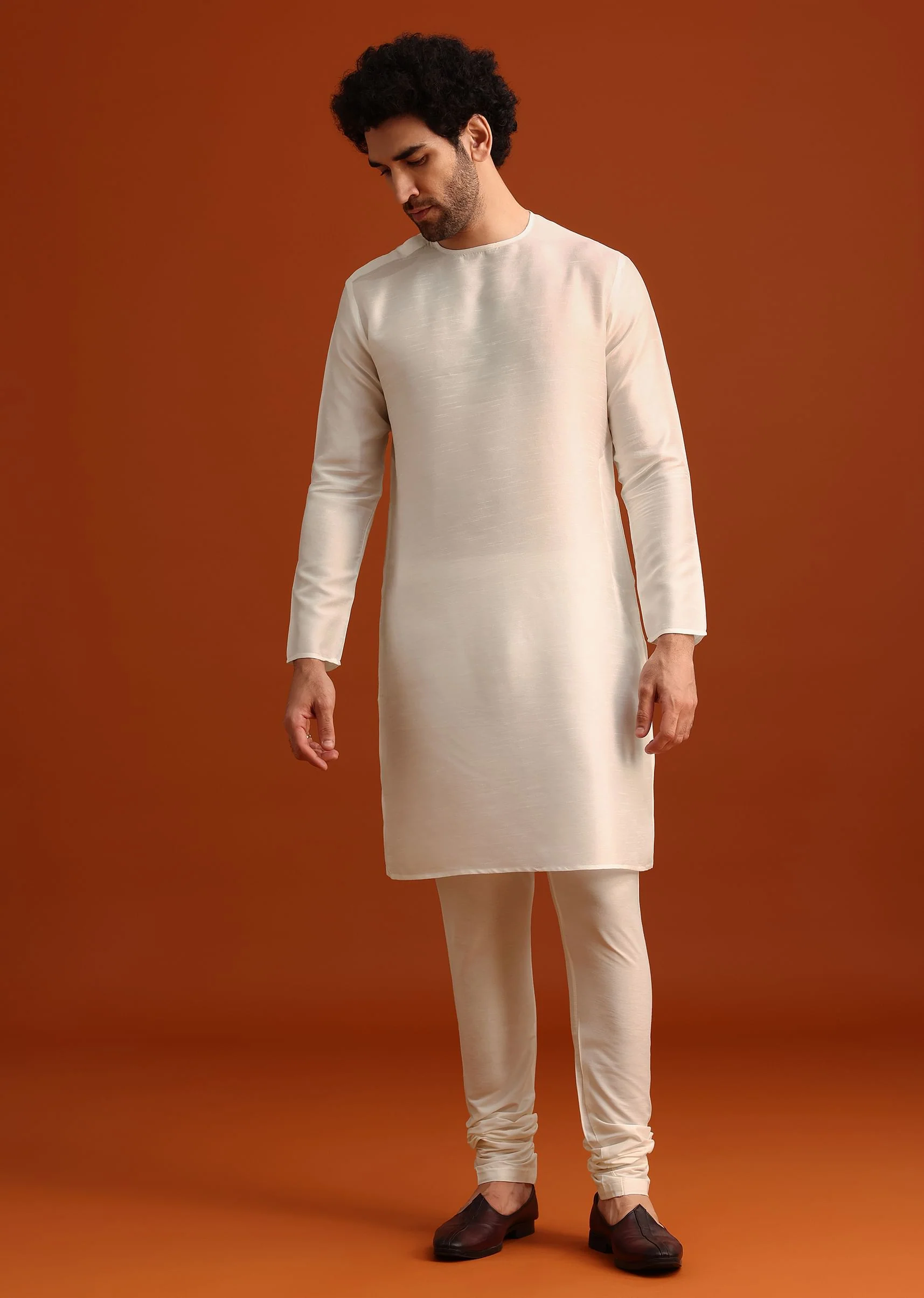 Ivory Organza Zari Embroidered Kurta Set With Butti Work - Image 6