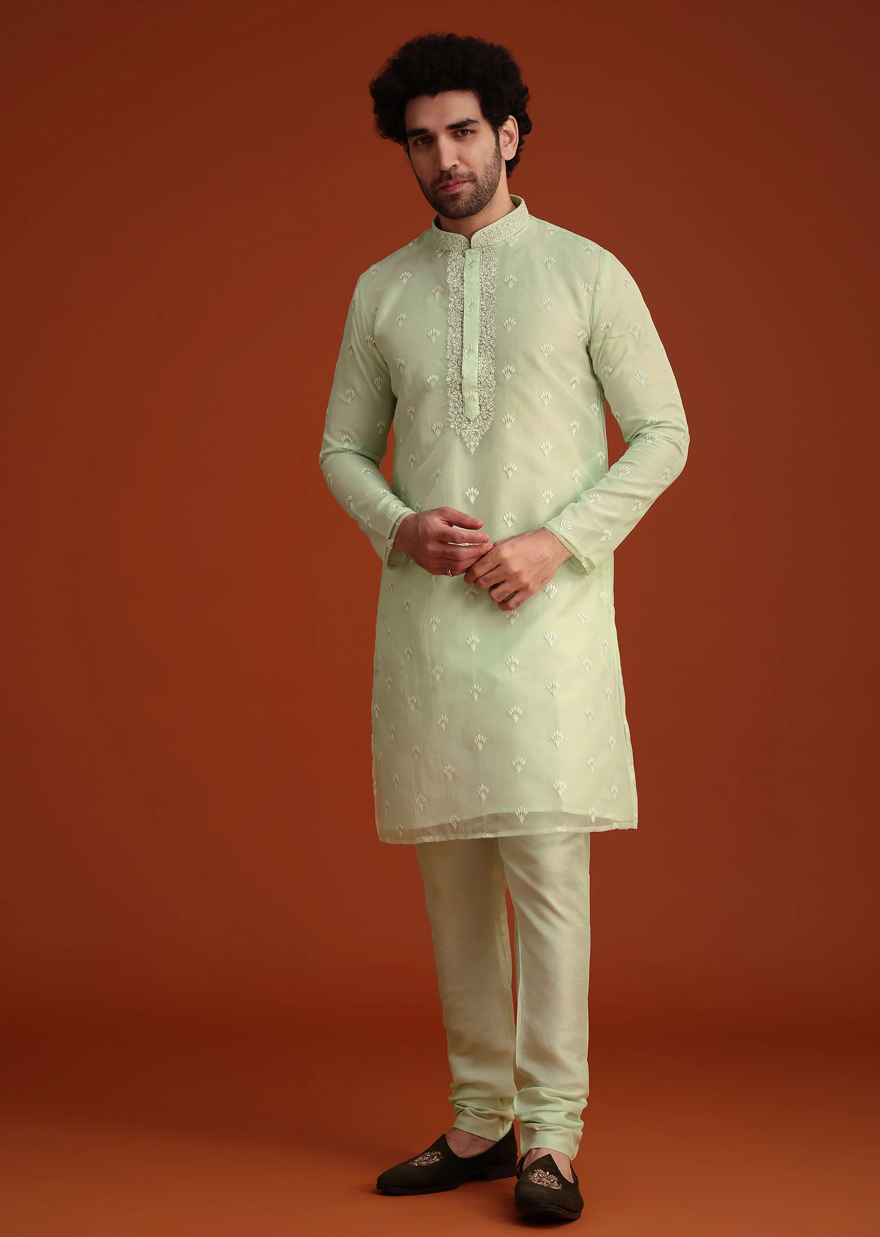 Light Green Organza Aligarhi Kurta With Zari Embroidery - Image 4