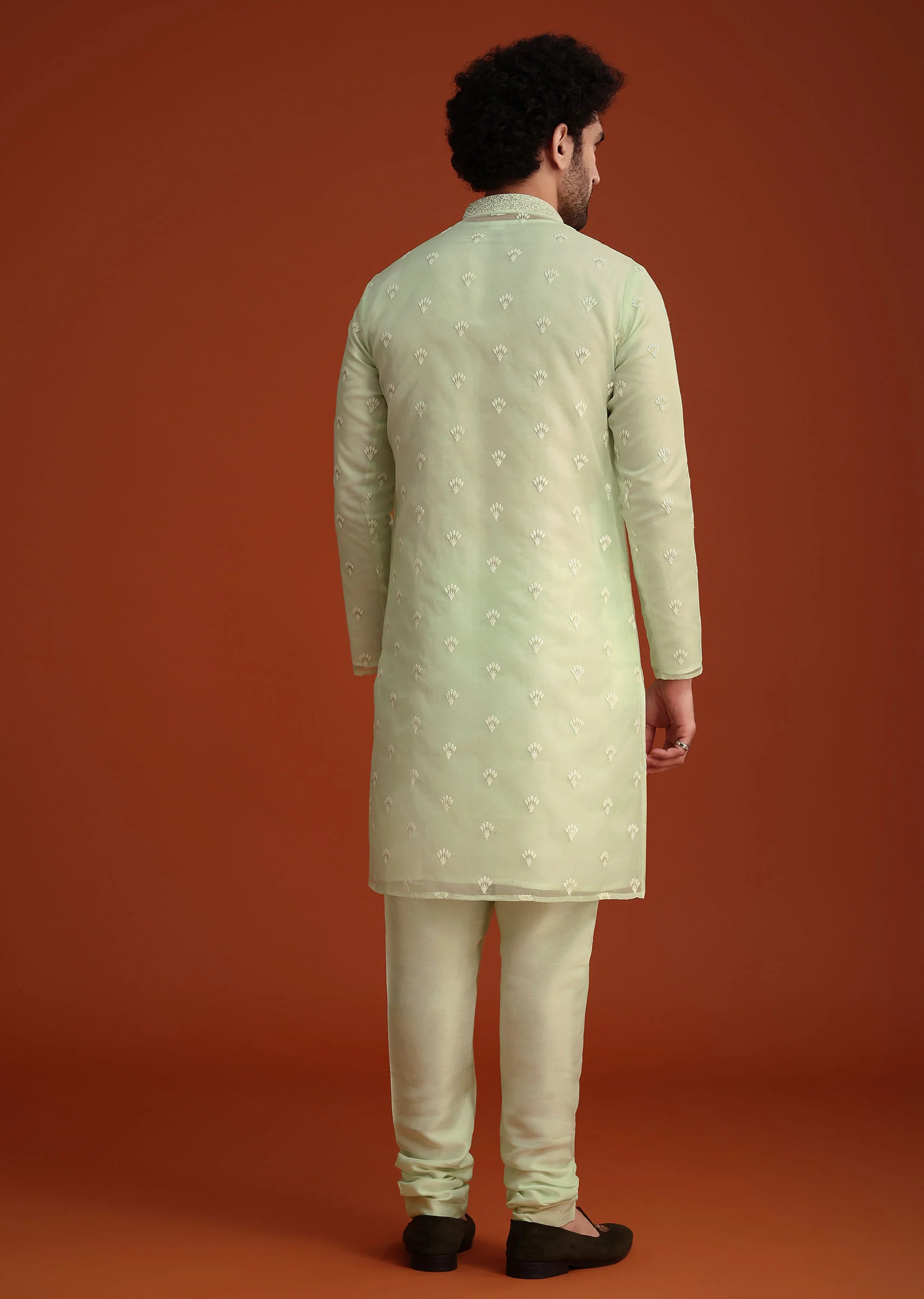 Light Green Organza Aligarhi Kurta With Zari Embroidery - Image 5