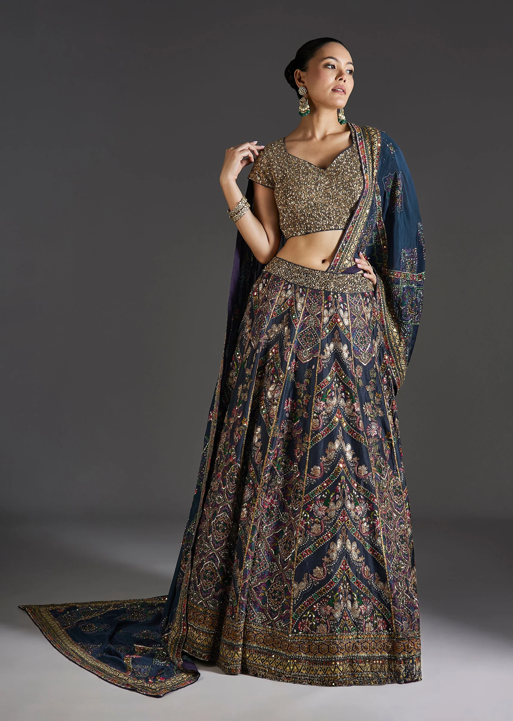 Navy Blue Lehenga With Regal Sparkle