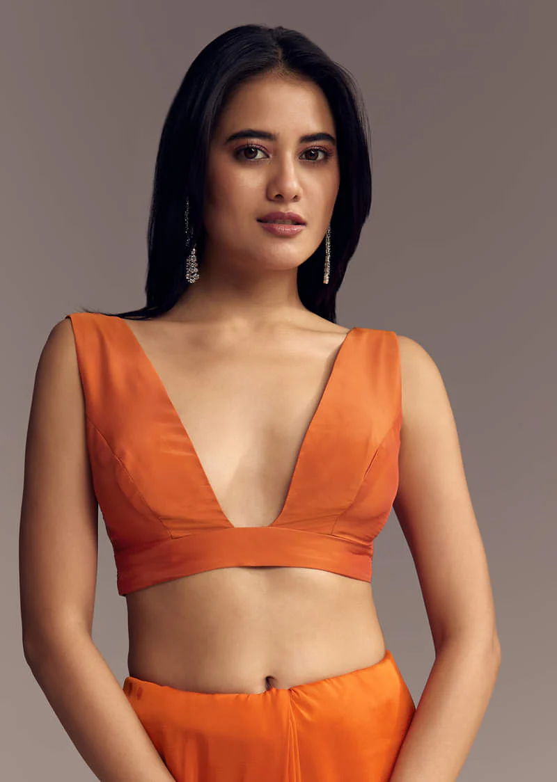 Orange Organza Saree With Zigzag Sequins And Cut Dana Embroidery - Image 7