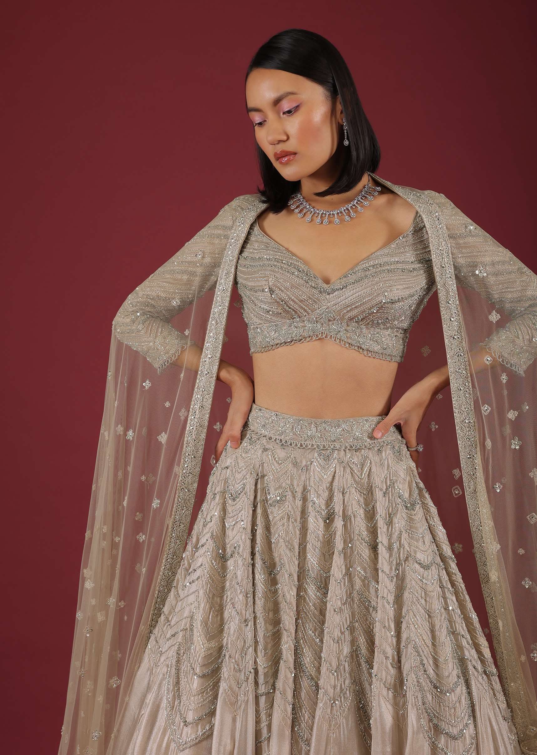 Oyster Organza Lehenga With Cut Dana Embroidery, Crop Top Comes In 3/4Th Sleeves With A Deep V Neckline - Image 2