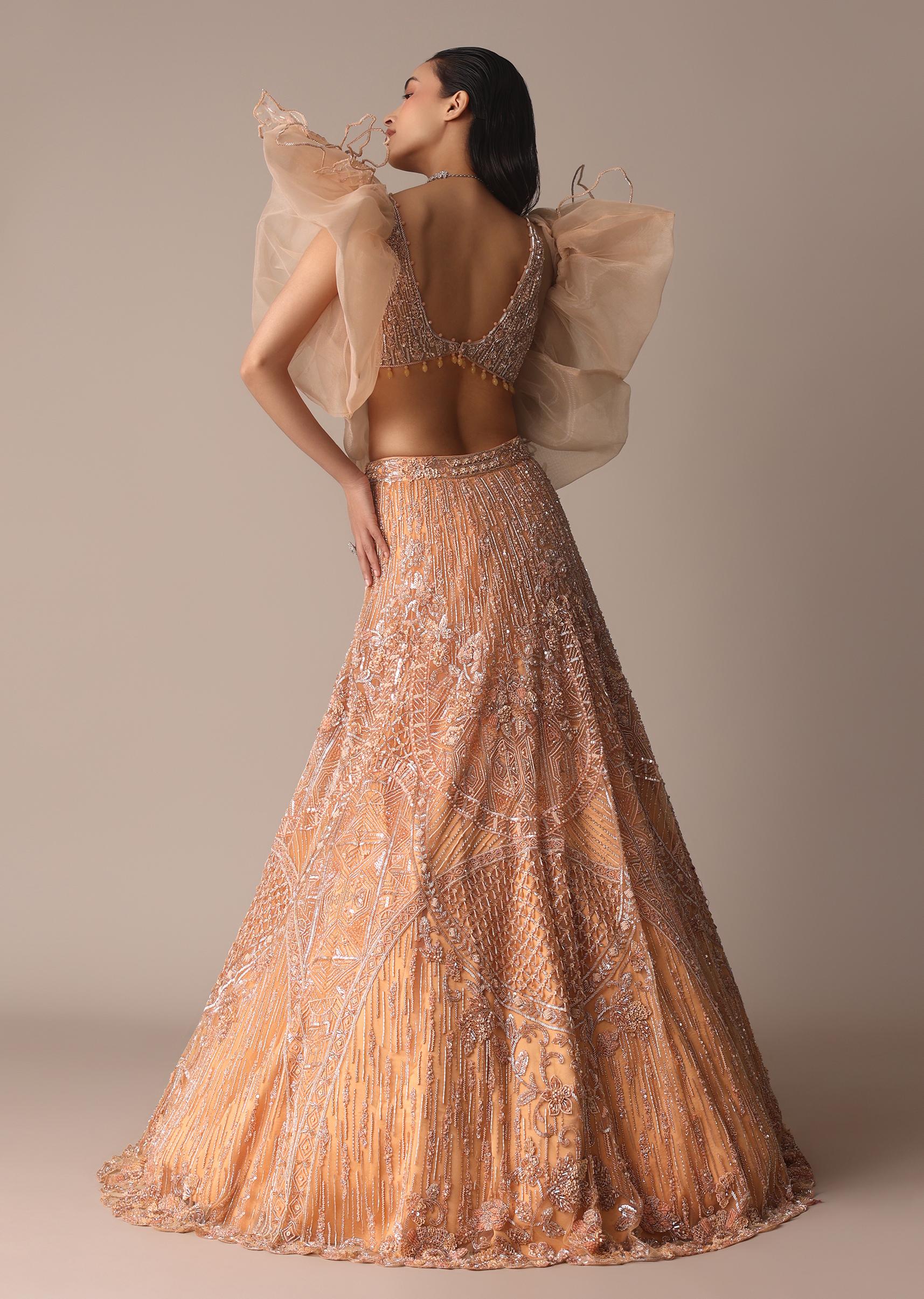Peach Zardosi Lehenga With Dramatic Net Sleeves Blouse - Image 7