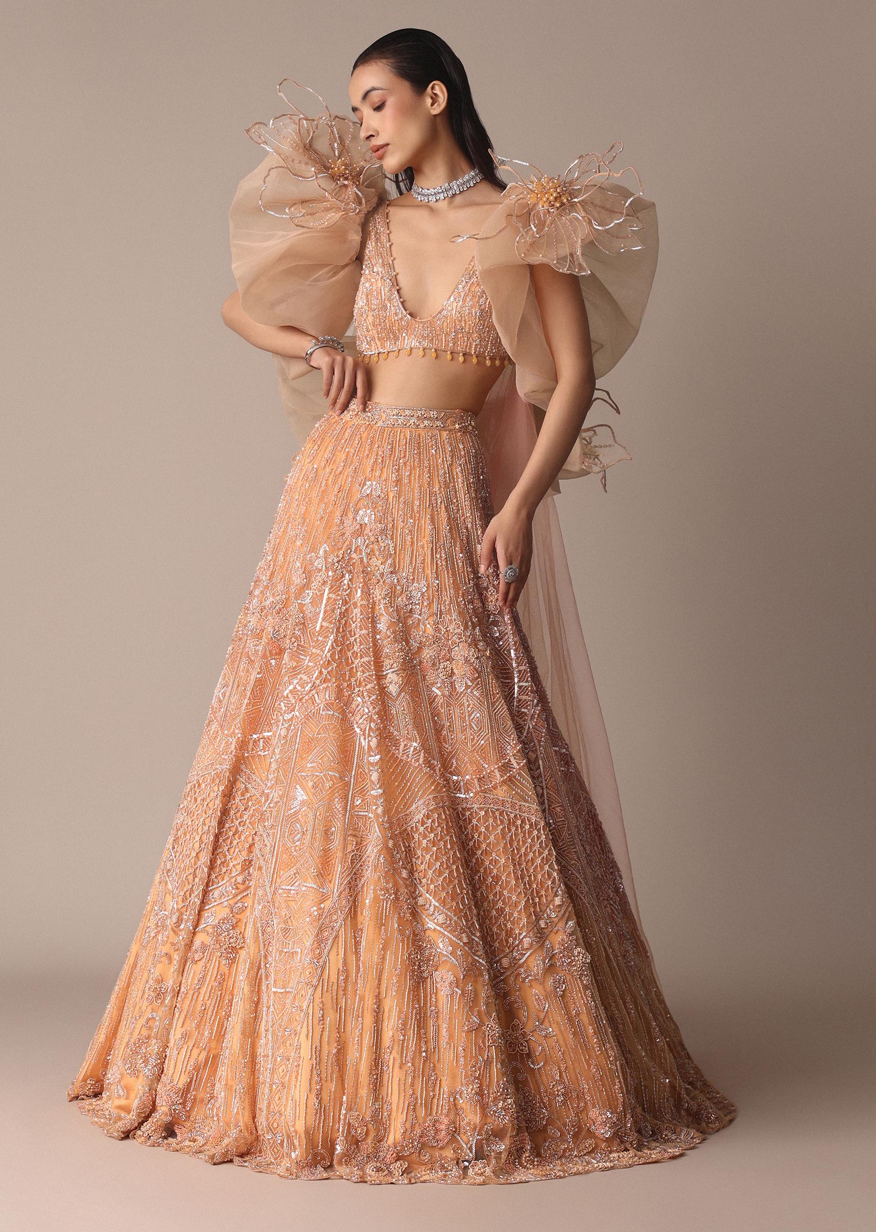 Peach Zardosi Lehenga With Dramatic Net Sleeves Blouse - Image 9