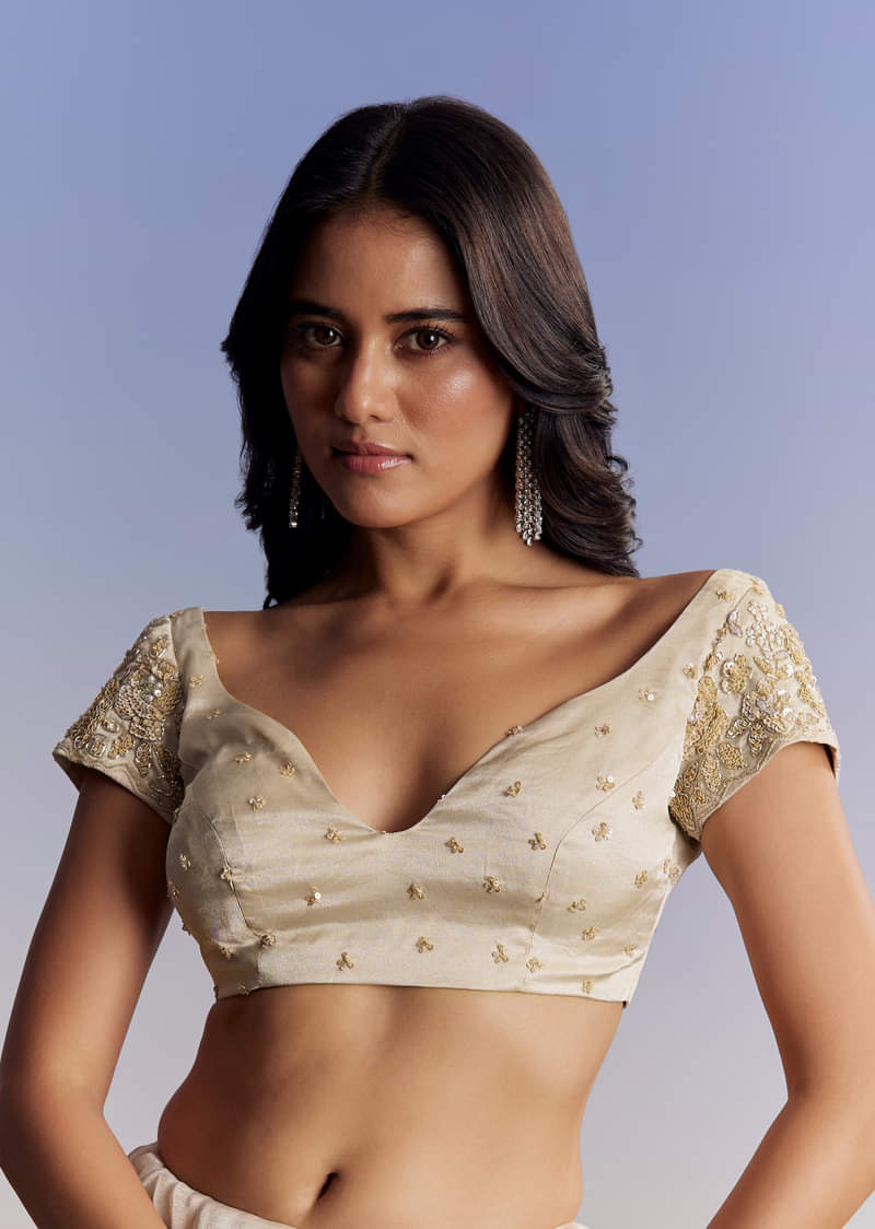 Silver Tissue Saree With Floral Cut Dana Embroidery - Image 7