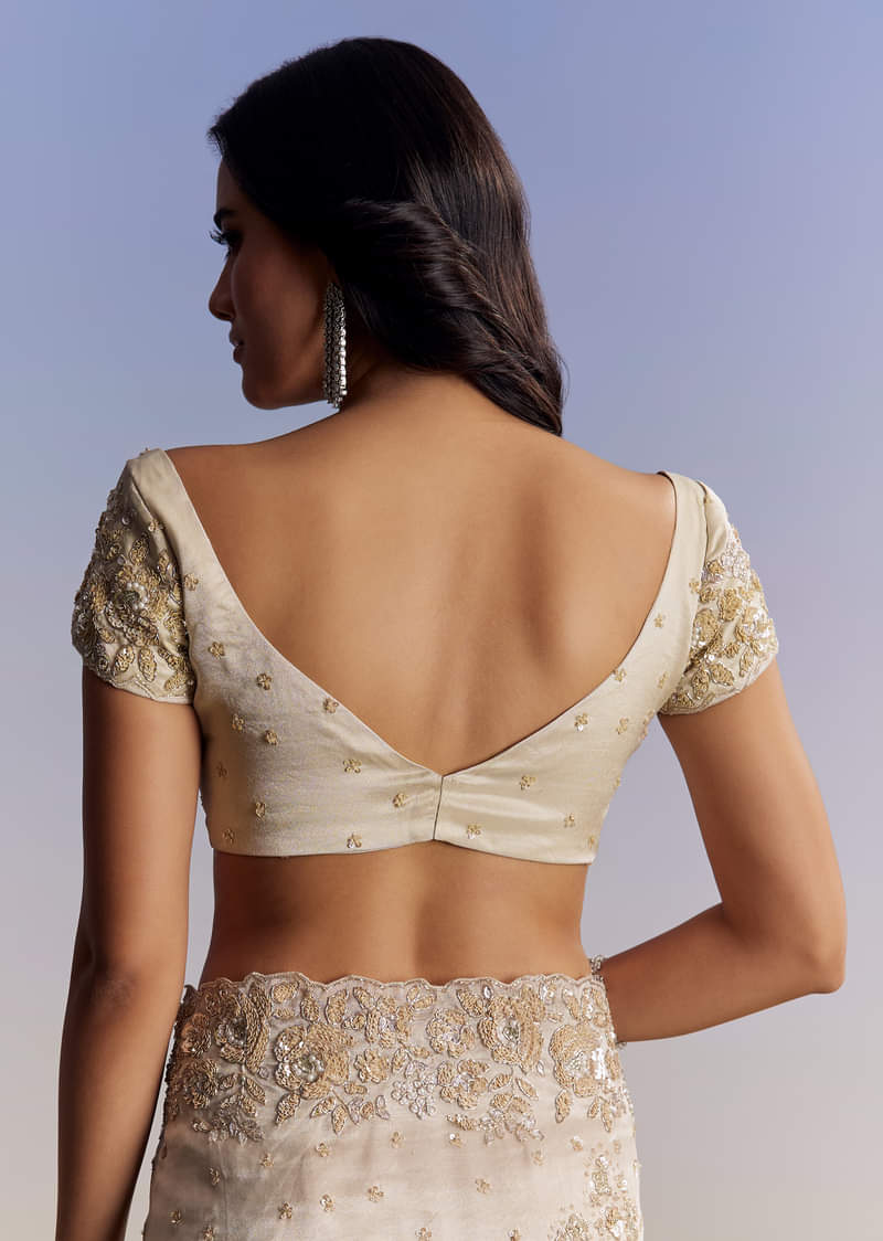 Silver Tissue Saree With Floral Cut Dana Embroidery - Image 8